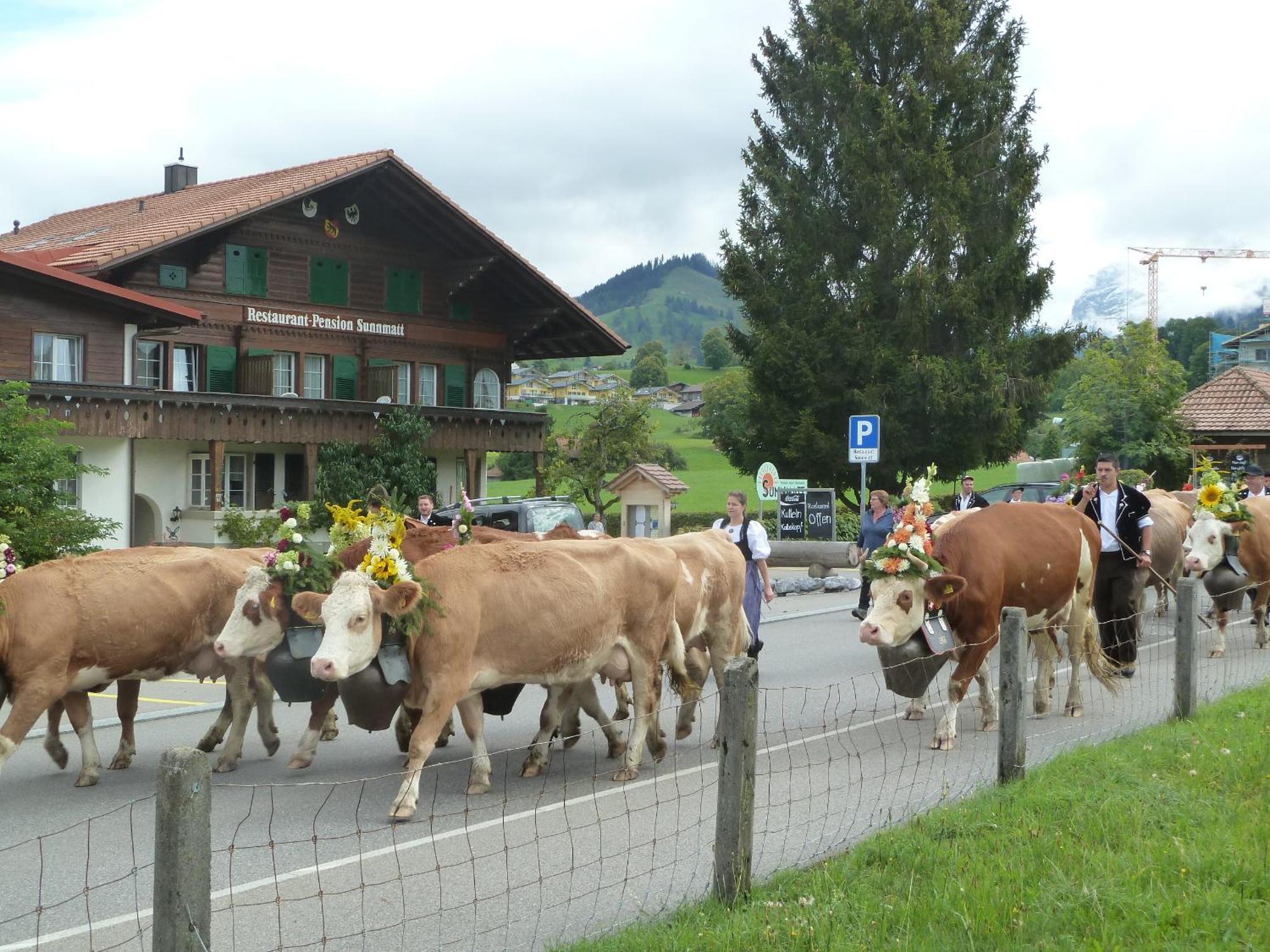 Hotel Restaurant Sunnmatt Aeschi Bei Spiez Extérieur photo