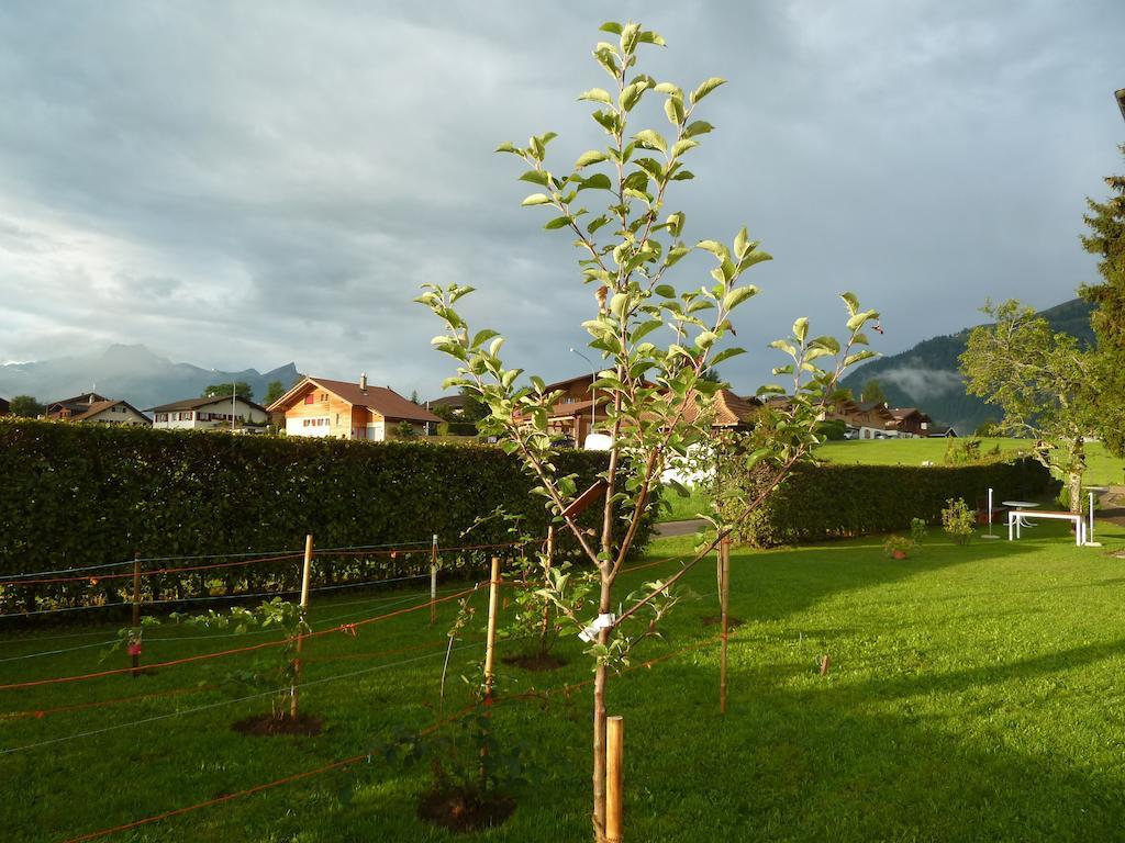 Hotel Restaurant Sunnmatt Aeschi Bei Spiez Extérieur photo